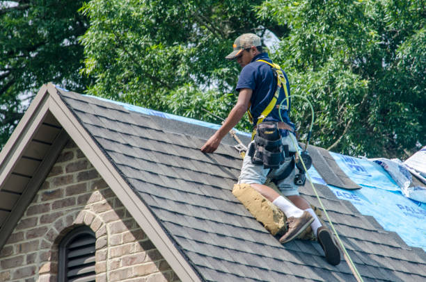 Best Roof Maintenance Services  in Walkersville, MD